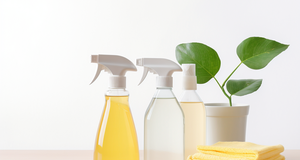 10 Ways to Use Natural Cleaning Products