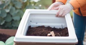 How to Start a Composting System at Home